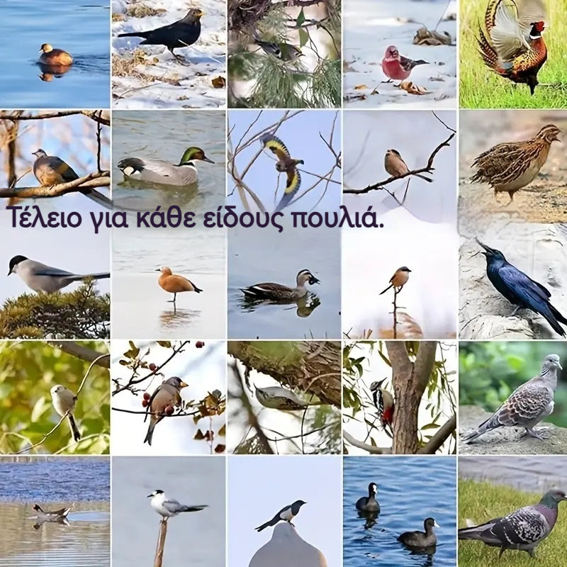 🐓🐦🔥【1 σετ 4 τεμαχίων】Εξωτερική παγίδα με ελατήριο, αυτοασφαλιζόμενη παγίδα υψηλής ευαισθησίας