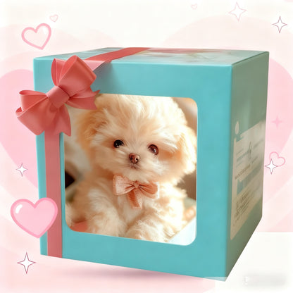 🐶Έκπτωση🔥Αγοράστε 1 και πάρτε 1 δωρεάν🔥🔥Λούτρινη κούκλα Puppy My Robot