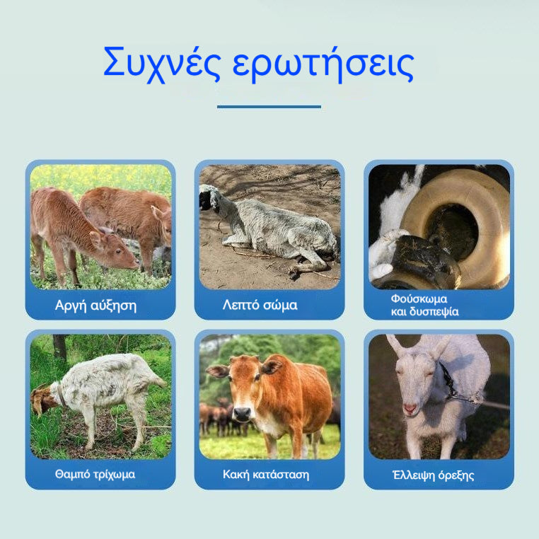 【Τιμή με περιορισμένη χρονική έκπτωση】🔥Τροφή πάχυνσης για χοίρους, βοοειδή και πρόβατα✅Αύξηση κρέατος✅Προώθηση της ανάπτυξης των οστών✅Αύξηση λίπους✔Αύξηση μυϊκής μάζας