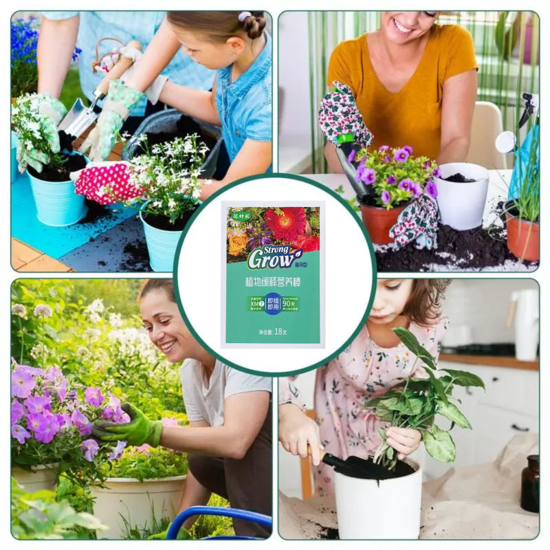 【6 κουτιά】Γενικές ταμπλέτες θρέψης φυτών --- λίπασμα φυτών